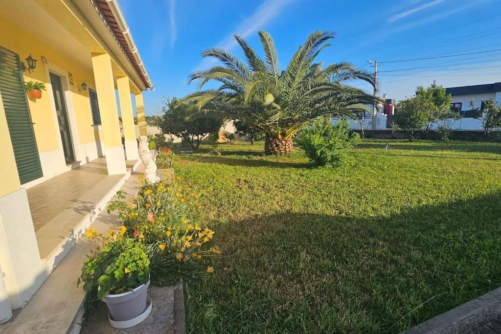 Quinta Marinhais Para Ferias No Ribatejo Kültér fotó