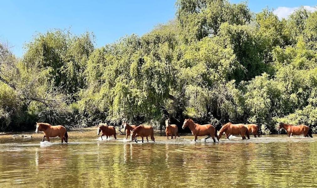 Quinta Marinhais Para Ferias No Ribatejo Kültér fotó
